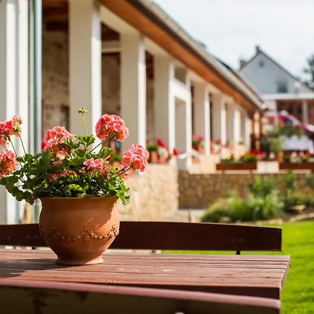 Bakony-cinca Vendeghaz 3*