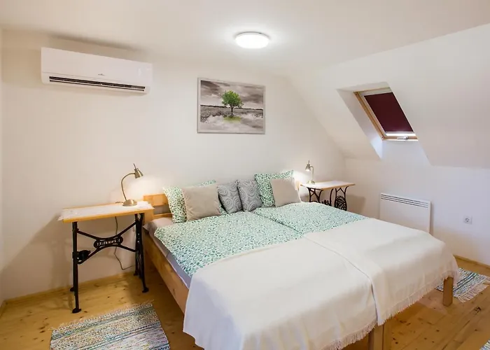 Bakony-cinca Vendeghaz בית הארחה